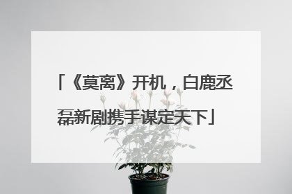 《莫离》开机，白鹿丞磊新剧携手谋定天下