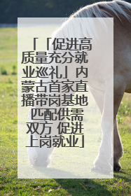 「促进高质量充分就业巡礼」内蒙古首家直播带岗基地 匹配供需双方 促进上岗就业