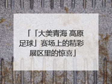 「大美青海 高原足球」赛场上的精彩 展区里的惊喜