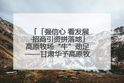 「强信心 看发展·招商引资拼落地」高原牧场“牛”劲足——甘肃华予高原牧场高标准奶牛肉牛养殖项目一线见闻