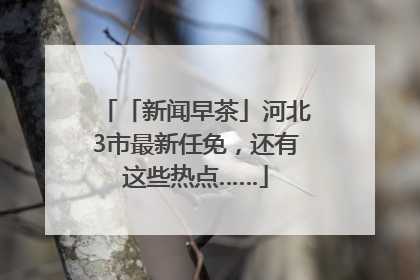 「新闻早茶」河北3市最新任免，还有这些热点……