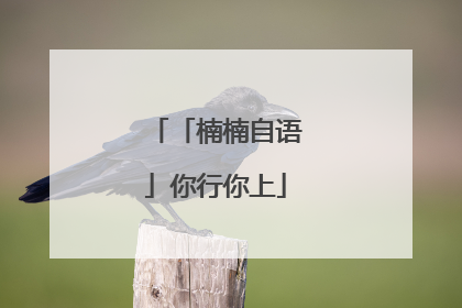 「楠楠自语」你行你上