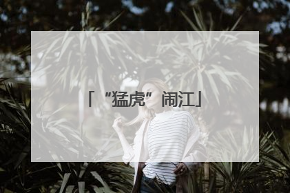 “猛虎”闹江