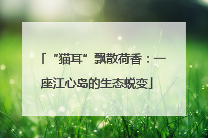 “猫耳”飘散荷香：一座江心岛的生态蜕变
