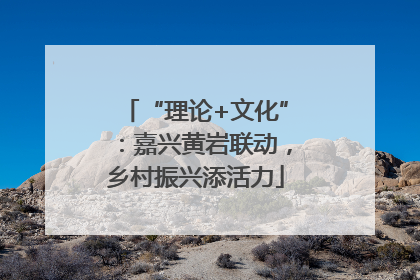 “理论+文化”：嘉兴黄岩联动，乡村振兴添活力