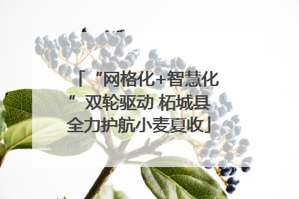 “网格化+智慧化”双轮驱动 柘城县全力护航小麦夏收