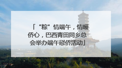 “粽”情端午，情暖侨心，巴西青田同乡总会举办端午慰侨活动