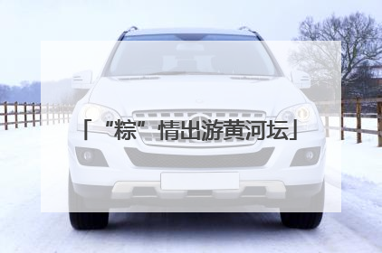 “粽”情出游黄河坛