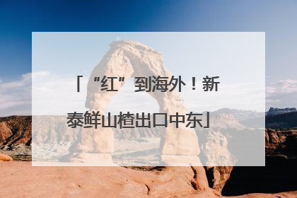 “红”到海外！新泰鲜山楂出口中东