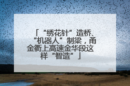 “绣花针”造桥、“机器人”制梁，甬金衢上高速金华段这样“智造”
