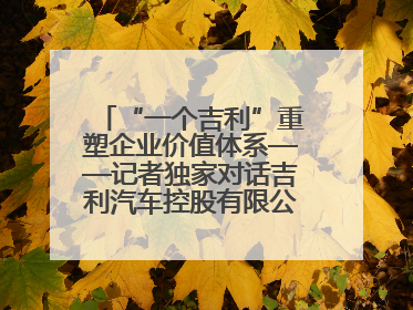 “一个吉利”重塑企业价值体系——记者独家对话吉利汽车控股有限公司行政总裁及执行董事桂生悦