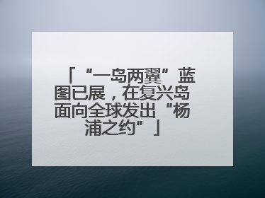 “一岛两翼”蓝图已展，在复兴岛面向全球发出“杨浦之约”
