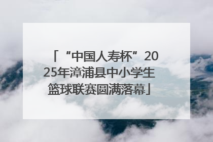 “中国人寿杯”2025年漳浦县中小学生篮球联赛圆满落幕