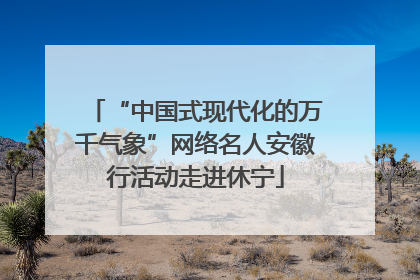 “中国式现代化的万千气象”网络名人安徽行活动走进休宁
