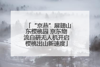 “京燕”展翅山东樱桃园 京东物流自研无人机开启樱桃出山新速度