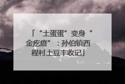 “土蛋蛋”变身“金疙瘩”：孙伯镇西程村土豆丰收记