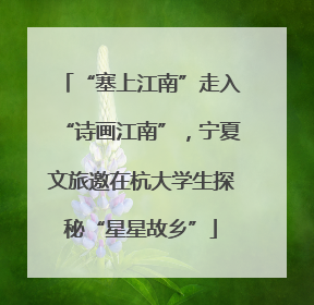 “塞上江南”走入“诗画江南”，宁夏文旅邀在杭大学生探秘“星星故乡”