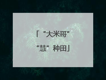 “大米哥”“慧”种田