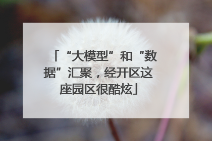“大模型”和“数据”汇聚，经开区这座园区很酷炫