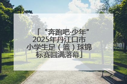 “奔跑吧·少年”2025年丹江口市小学生足（篮）球锦标赛圆满落幕