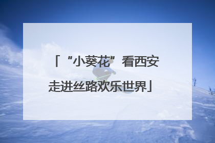 “小葵花”看西安走进丝路欢乐世界