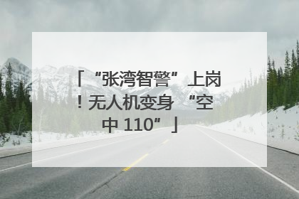 “张湾智警”上岗！无人机变身 “空中 110”