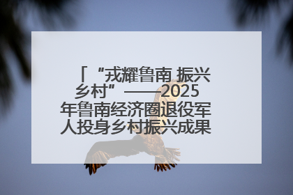 “戎耀鲁南 振兴乡村”——2025年鲁南经济圈退役军人投身乡村振兴成果展销会盛大启幕