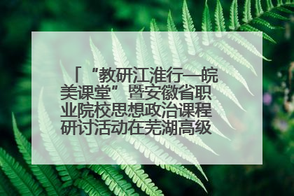“教研江淮行—皖美课堂”暨安徽省职业院校思想政治课程研讨活动在芜湖高级职业技术学校举行