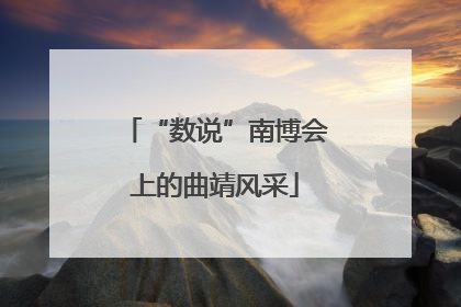 “数说”南博会上的曲靖风采