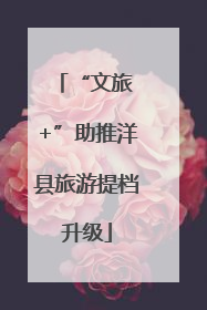 “文旅 +”助推洋县旅游提档升级