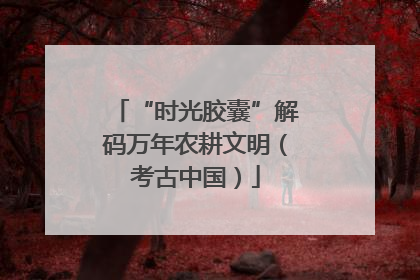 “时光胶囊”解码万年农耕文明（考古中国）