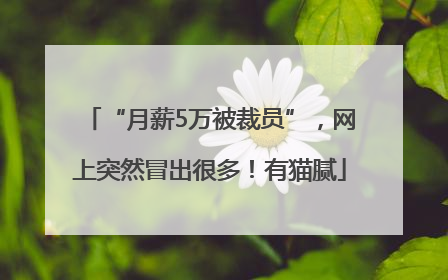“月薪5万被裁员”，网上突然冒出很多！有猫腻