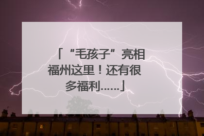 “毛孩子”亮相福州这里！还有很多福利……