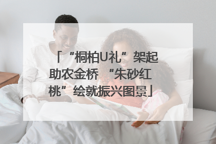 “桐柏U礼”架起助农金桥 “朱砂红桃”绘就振兴图景