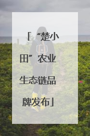 “楚小田”农业生态链品牌发布