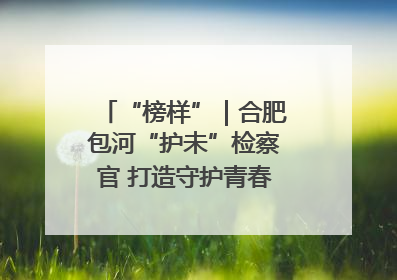 “榜样”｜合肥包河“护未”检察官 打造守护青春成长的永恒灯塔