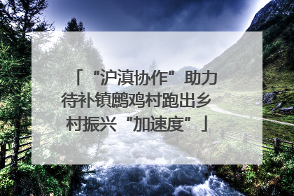 “沪滇协作”助力待补镇鹧鸡村跑出乡村振兴“加速度”