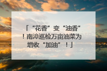 “花香”变“油香”！南漳巡检万亩油菜为增收“加油”！
