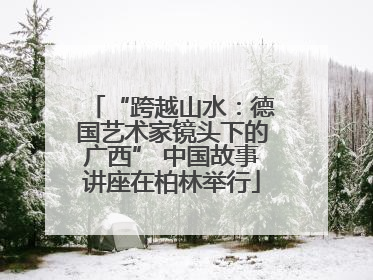“跨越山水：德国艺术家镜头下的广西” 中国故事讲座在柏林举行