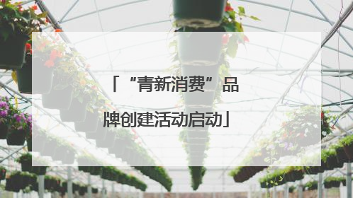 “青新消费”品牌创建活动启动
