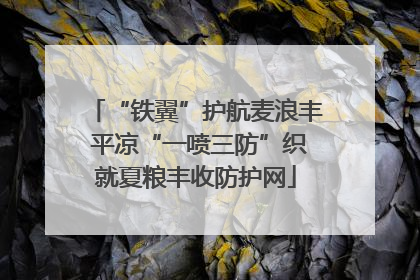 “铁翼”护航麦浪丰 平凉“一喷三防”织就夏粮丰收防护网