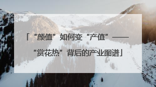 “颜值”如何变“产值”——“赏花热”背后的产业图谱