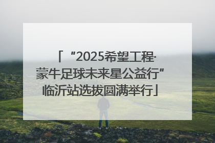 “2025希望工程·蒙牛足球未来星公益行”临沂站选拔圆满举行