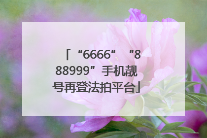 “6666”“888999”手机靓号再登法拍平台