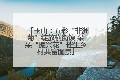 玉山：五彩“非洲菊”绽放横街镇 朵朵“振兴花”催生乡村共富图景