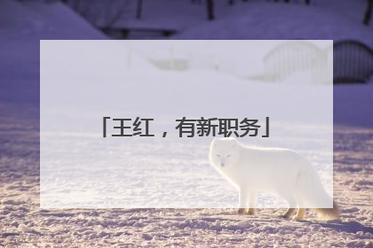 王红，有新职务