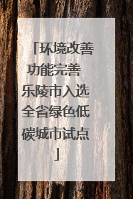 环境改善功能完善 乐陵市入选全省绿色低碳城市试点