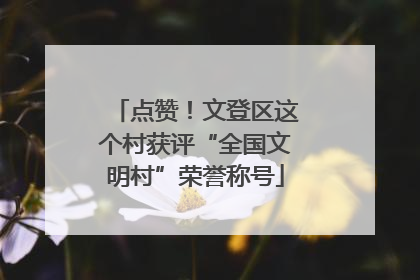 点赞！文登区这个村获评“全国文明村”荣誉称号
