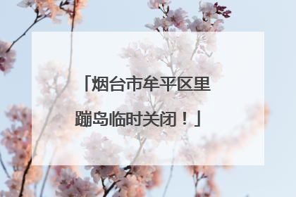 烟台市牟平区里蹦岛临时关闭！