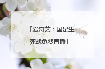 爱奇艺：国足生死战免费直播